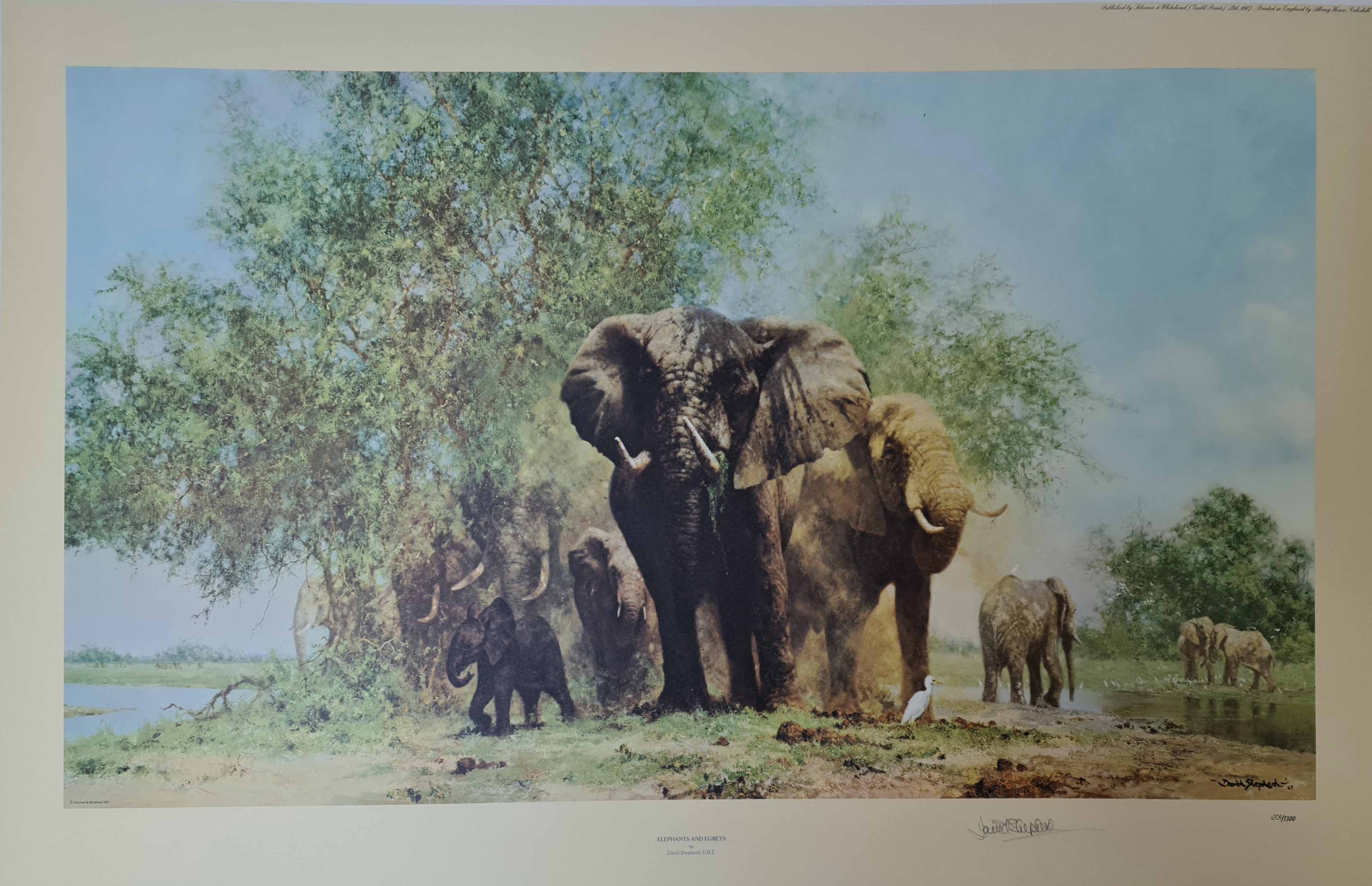 david shepherd, Elephants and Egrets, signed limited edition print