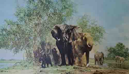 david shepherd elephant and egrets elephants, signed, limited edition, print