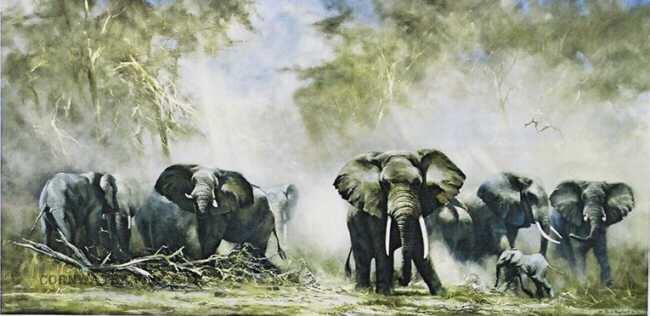 david shepherd  elephants at Amboseli print