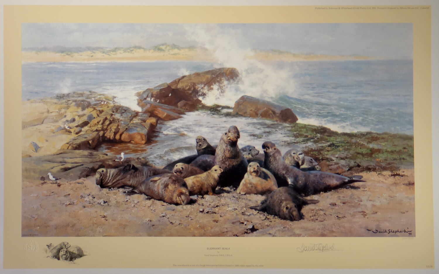 david shepherd, Elephant Seals, signed limited edition print