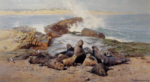 david shepherd elephant seals prints