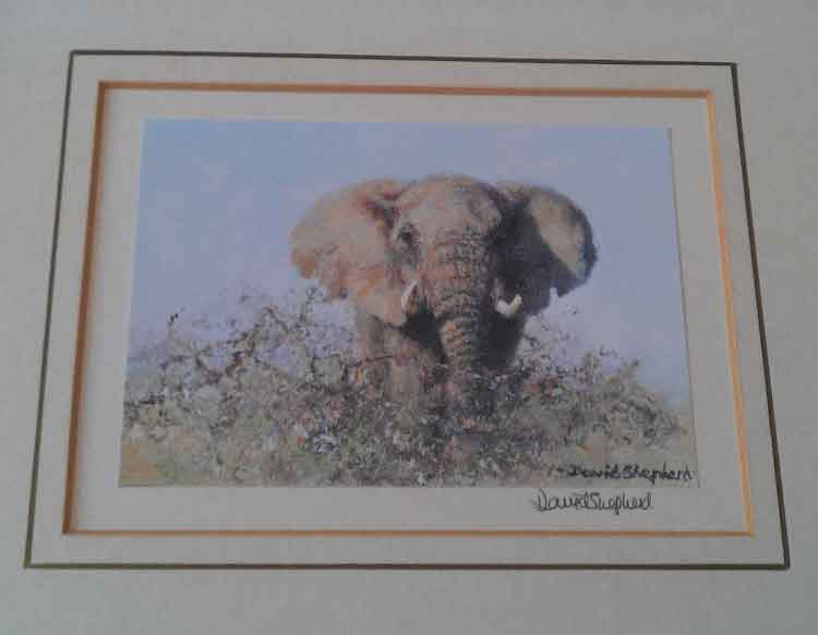 david shepherd signed elephant print