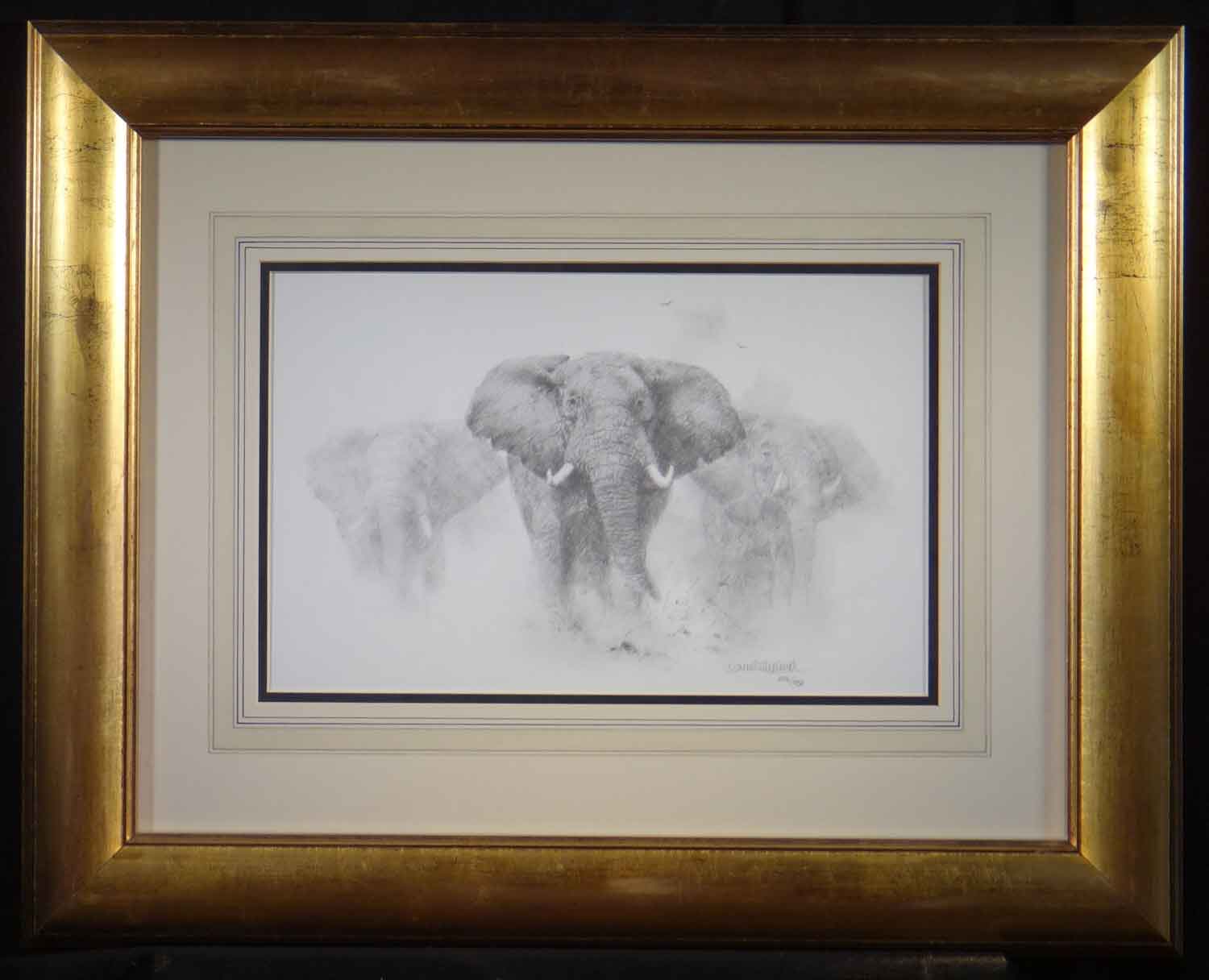 david shepherd, elephants pencil, sketch, drawing