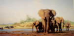 david shepherd evening in africa