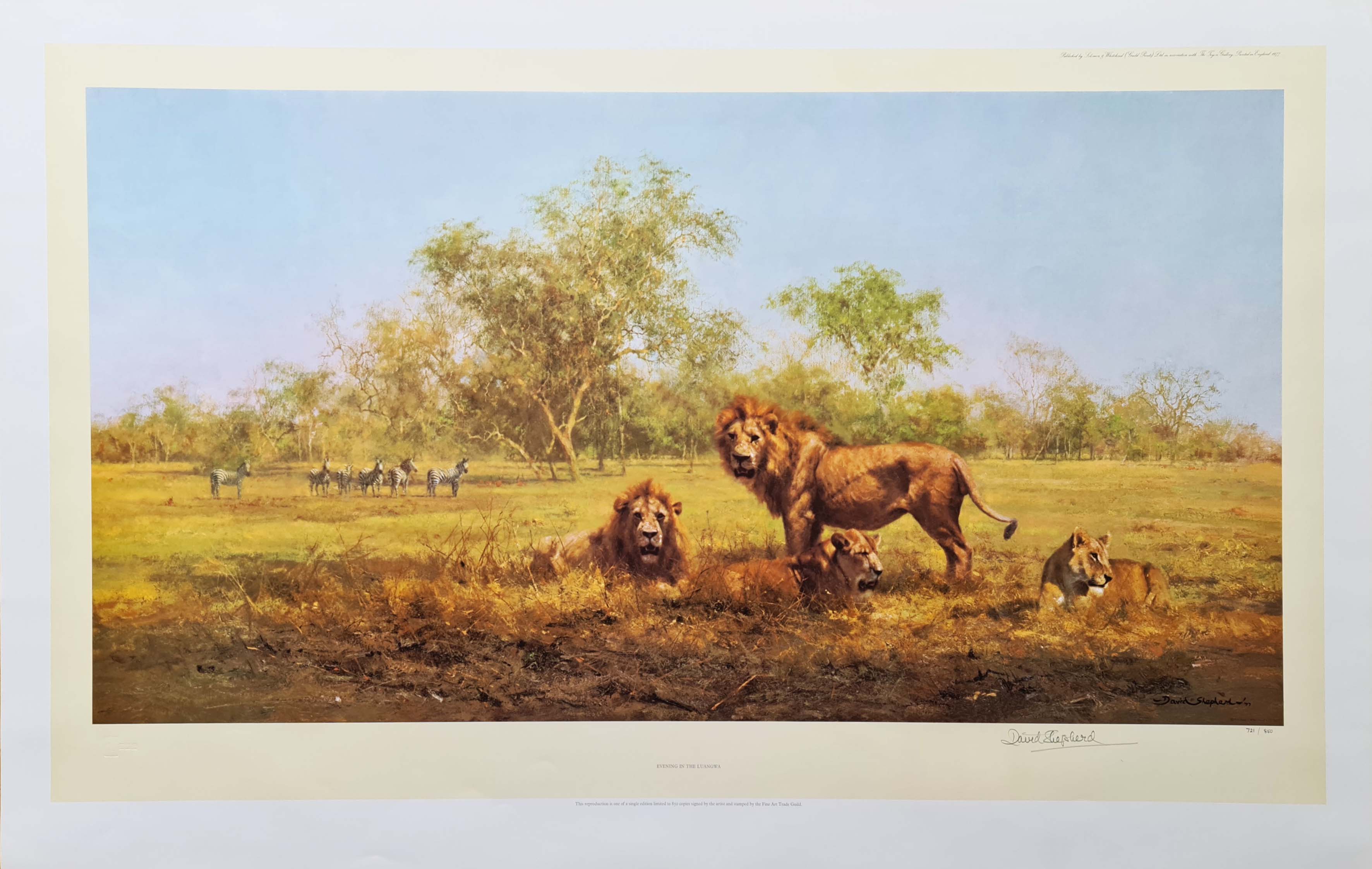 david shepherd, evening in the Luangwa, Lions