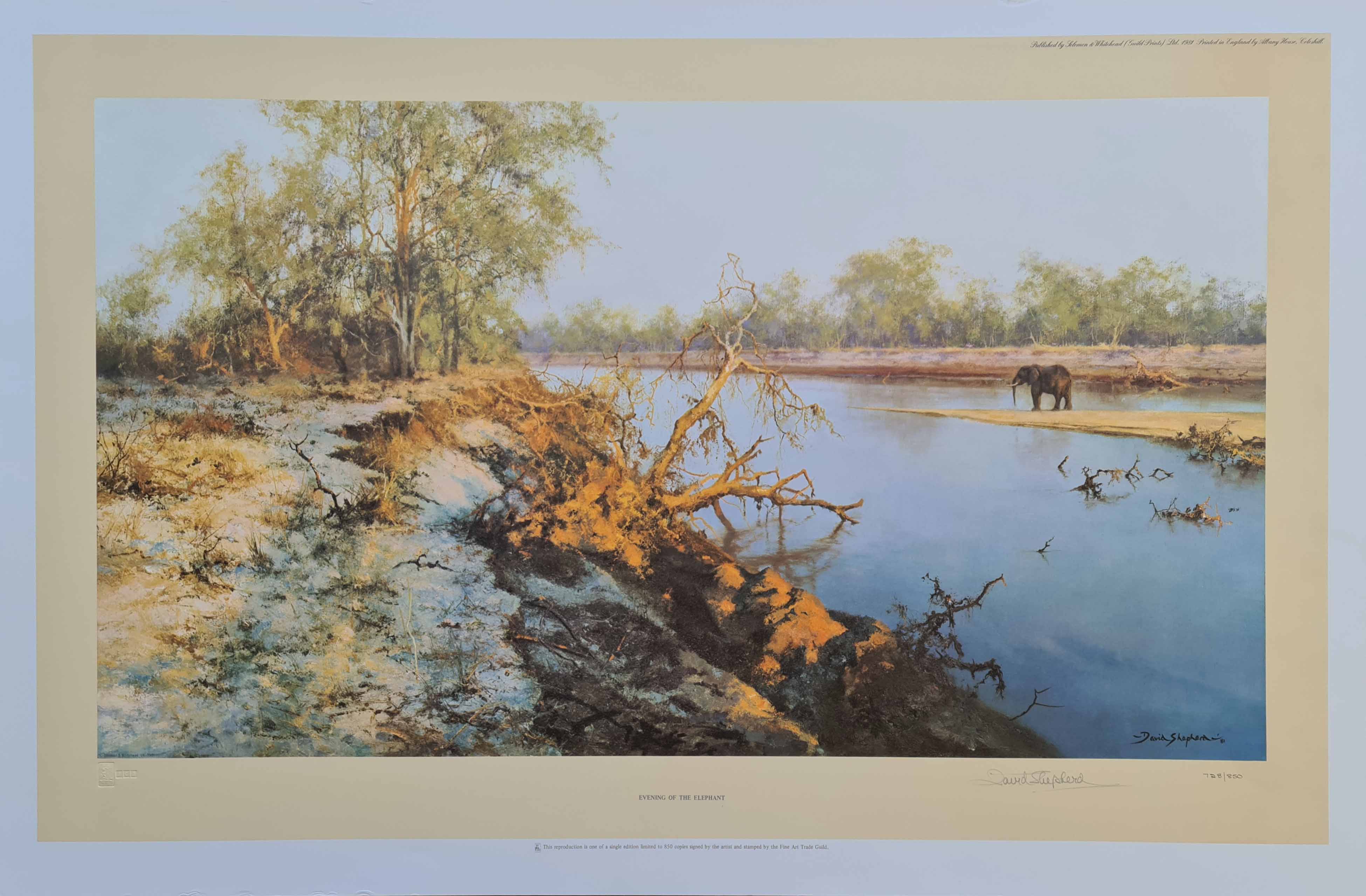 david shepherd, evening of the elephant, signed limited edition print