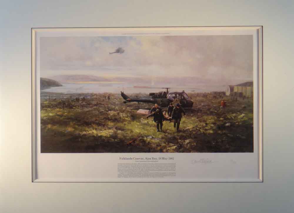 falklands print mounted