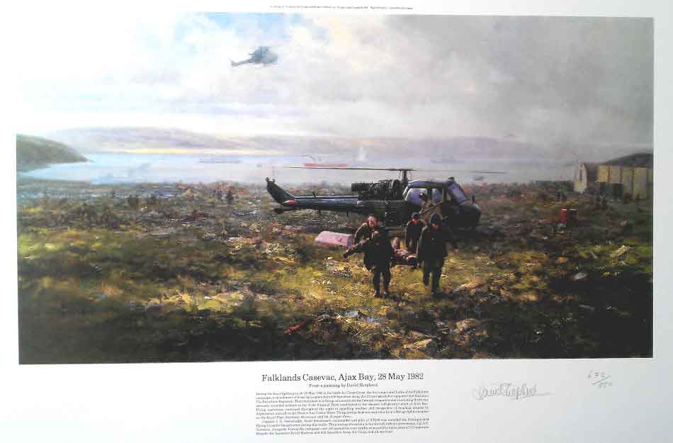 falklands print