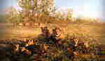 david shepherd First light at Savuti print david shepherd First light at Savuti print