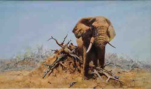 david shepherd gentle giant elephants, signed, limited edition, print