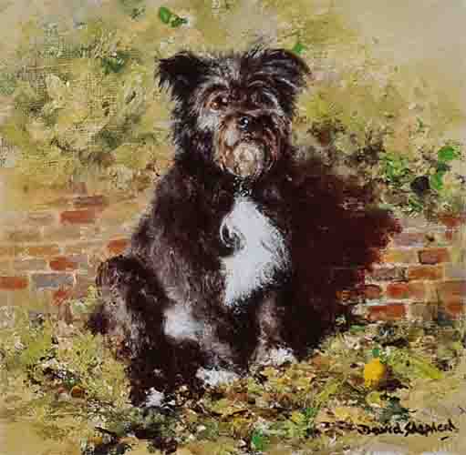 david shepherd haggis of Battersea dogs prints