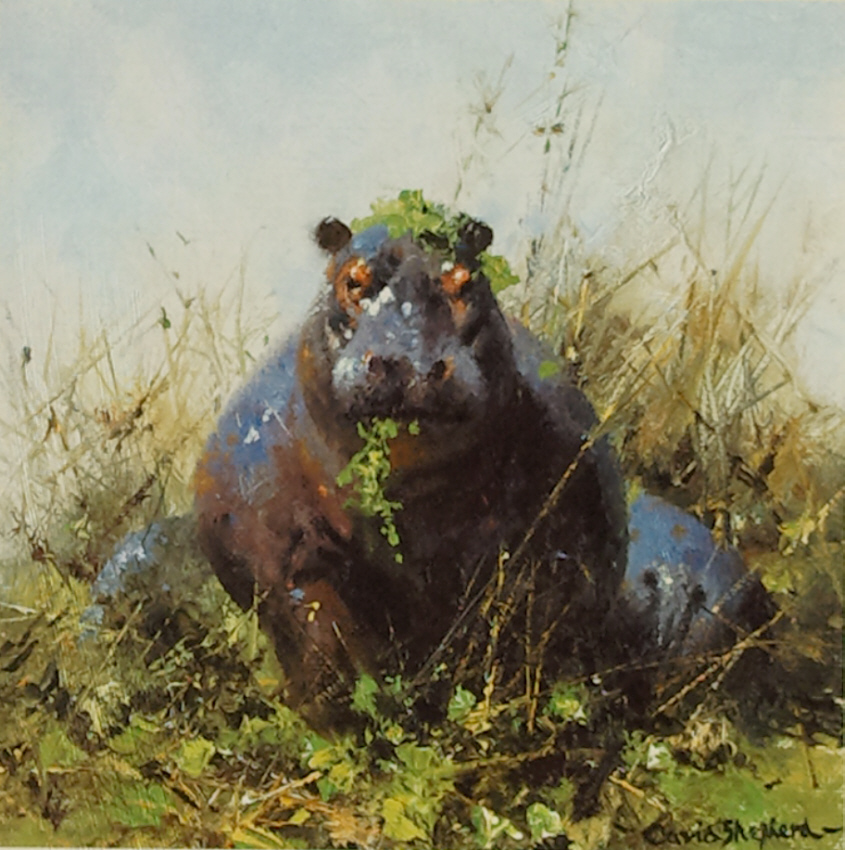 david shepherd happy hippo signed print