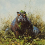 david shepherd, Happy Hippo, hippos, prints