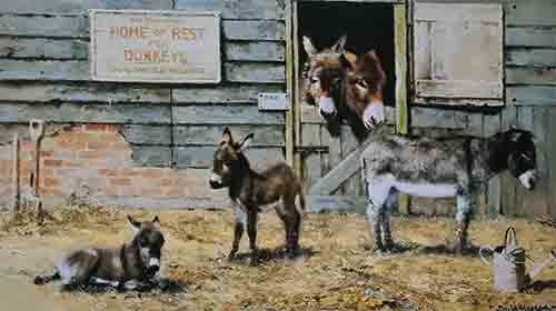 davidshepherd-happyhomefordonkeys