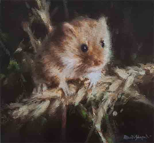 david shepherd harvest mouse print