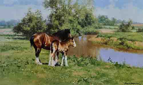 david shepherd, Horses, High Noon, print