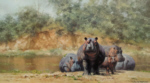david shepherd hot potami, hippos, prints