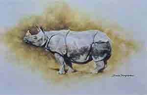 davidshepherd-indianrhino