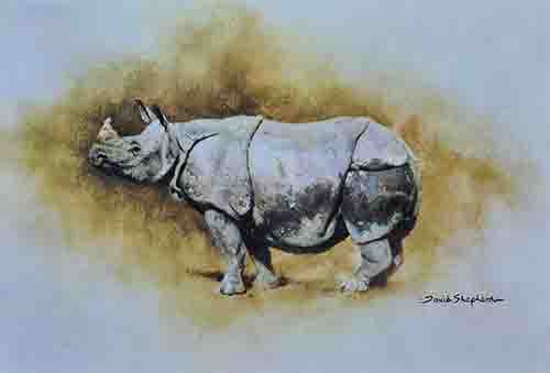 david shepherd, indian rhino , print