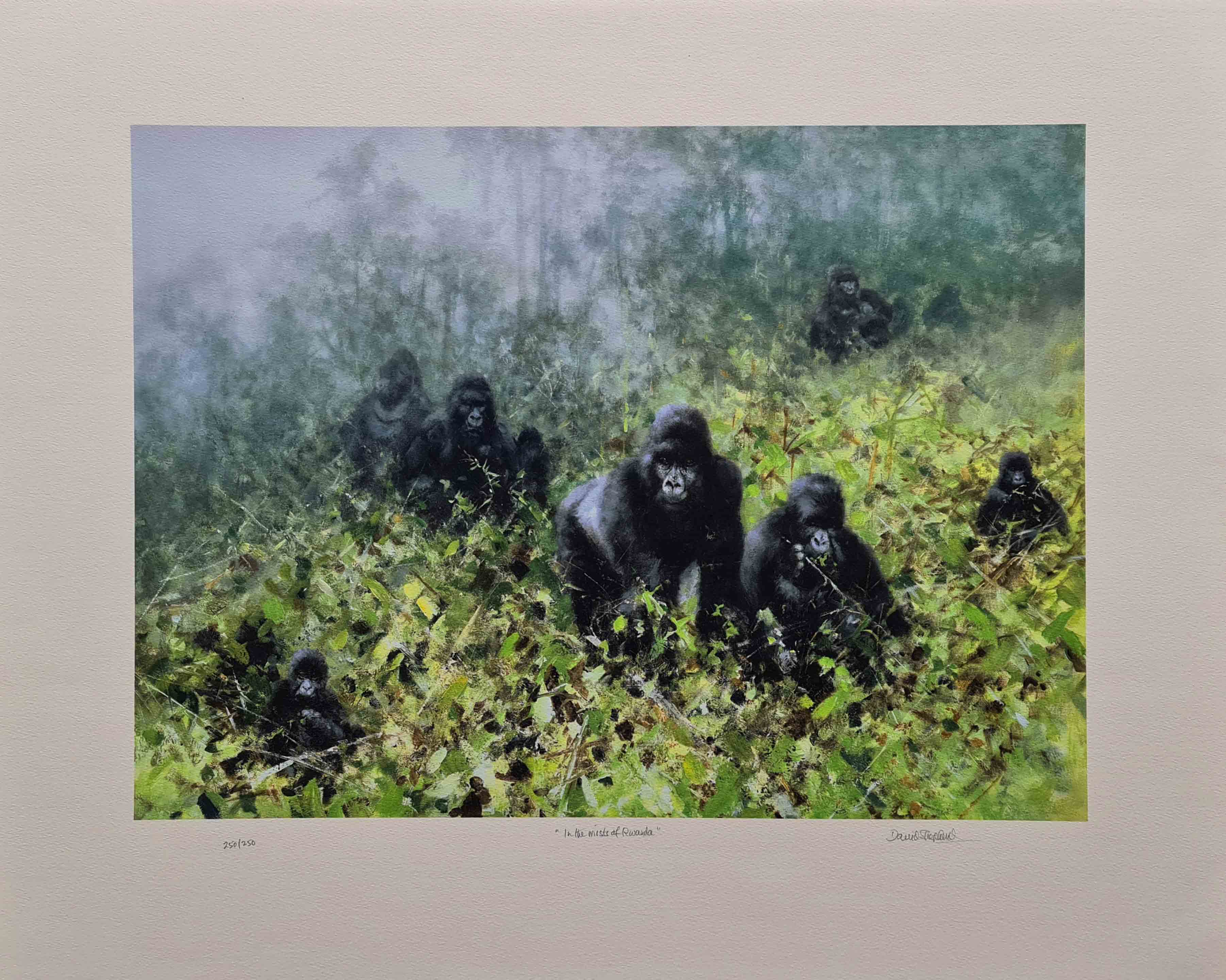 david shepherd, in the mists of Rwanda, gorillas, silkscreen