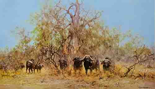 david shepherd, in the thick stuff, buffalo, print