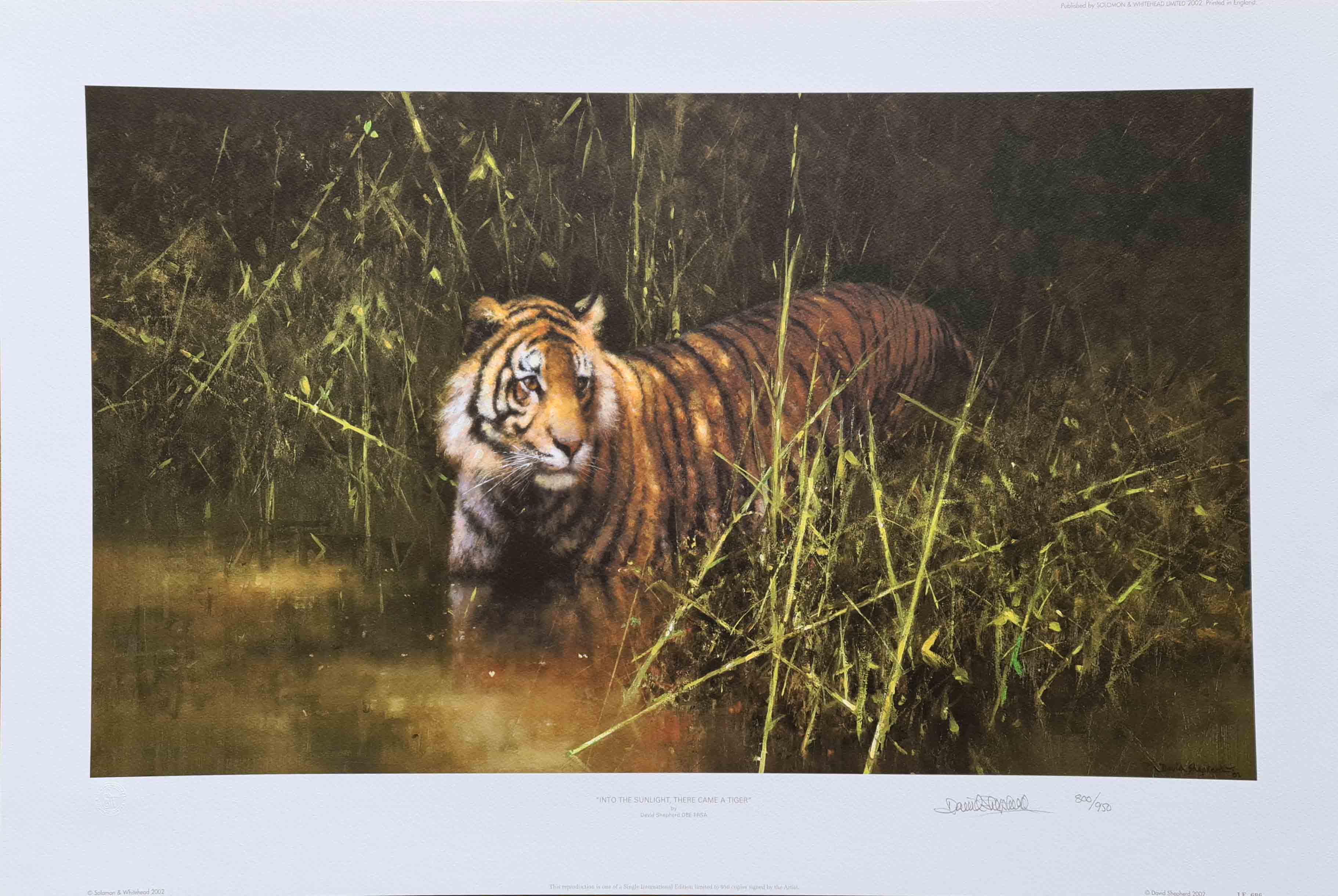 david shepherd, into the sunlight came a tiger, signed limited edition print