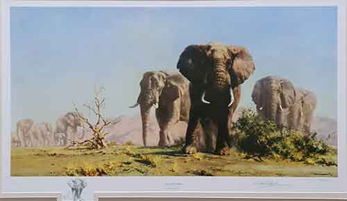 david shepherd, The Ivory is Theirs, original drawing