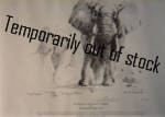 david shepherd, sketch, drawing ivory is theirs, print david shepherd, sketch, drawing ivory is theirs, print