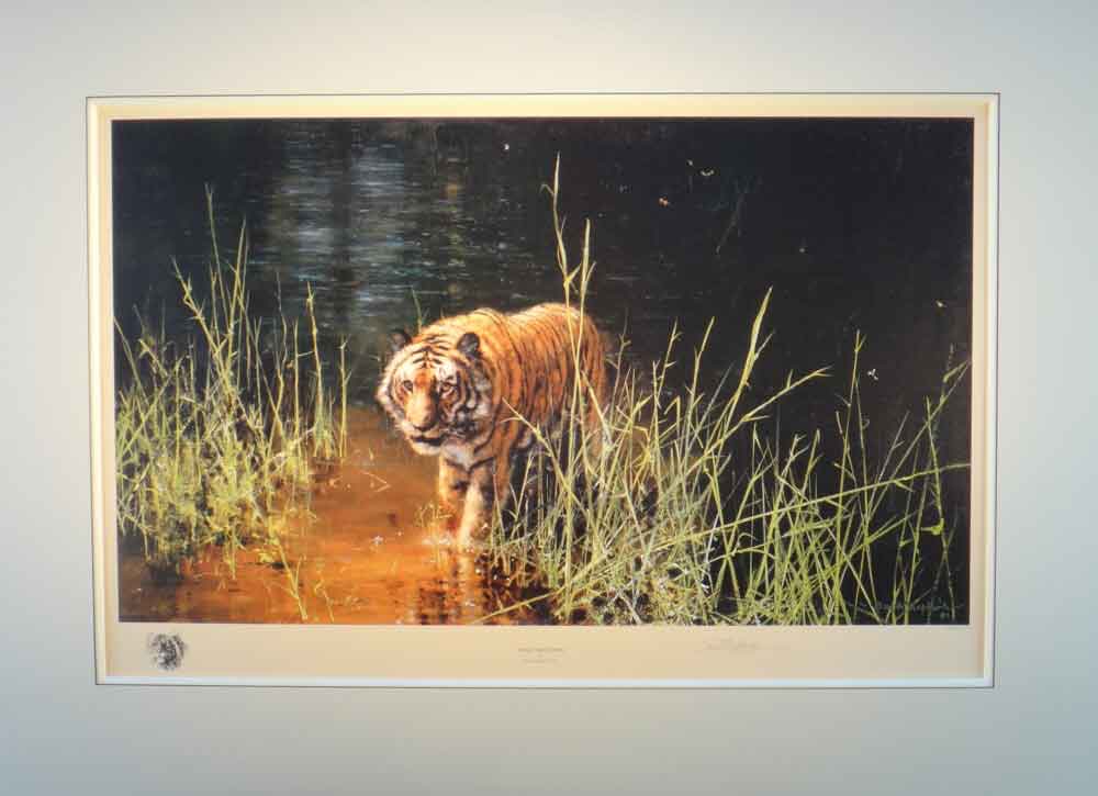 david shepherd  jungle gentleman print