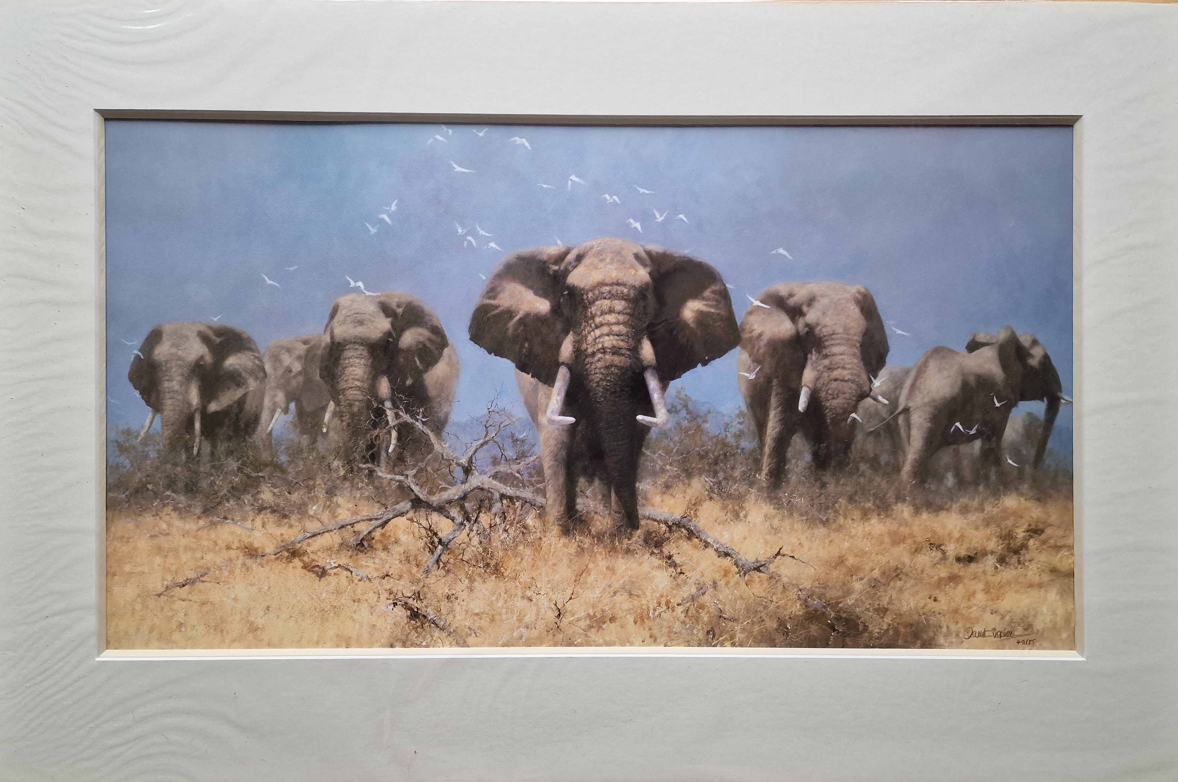 david shepherd signed limited edition print just elephants