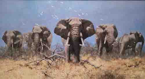 david shepherd just elephants elephant print