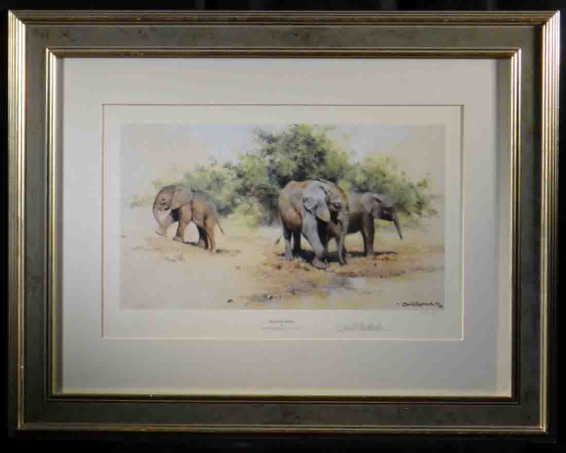 kilaguni babies, signed print