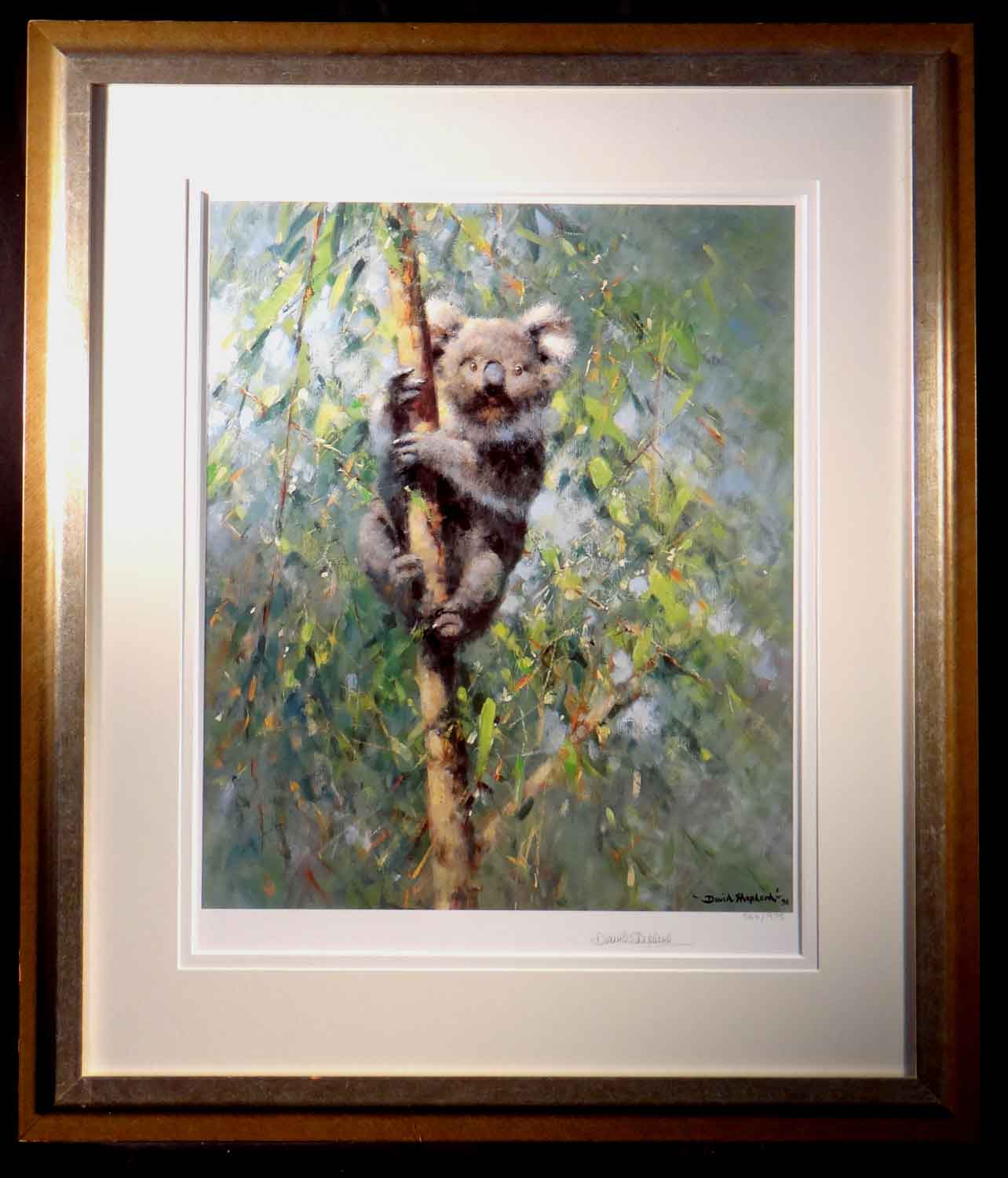 david shepherd Koala