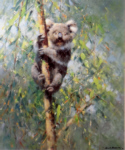 david shepherd koala prints