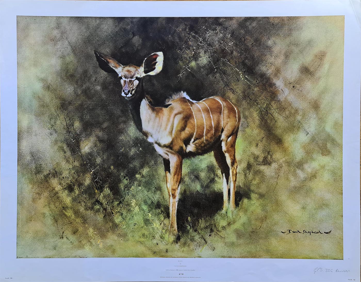 david shepherd Kudu