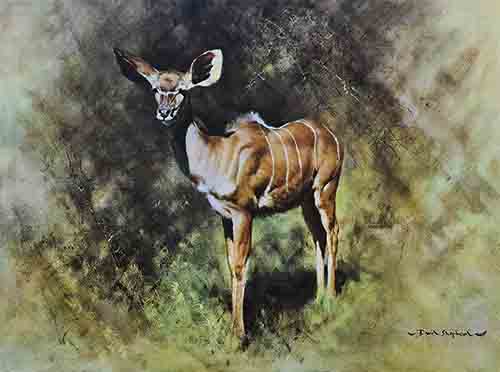 david shepherd kudu print