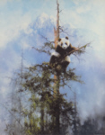 david shepherd Last Refuge Panda print