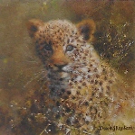 david shepherd, leopard cub cameo, print