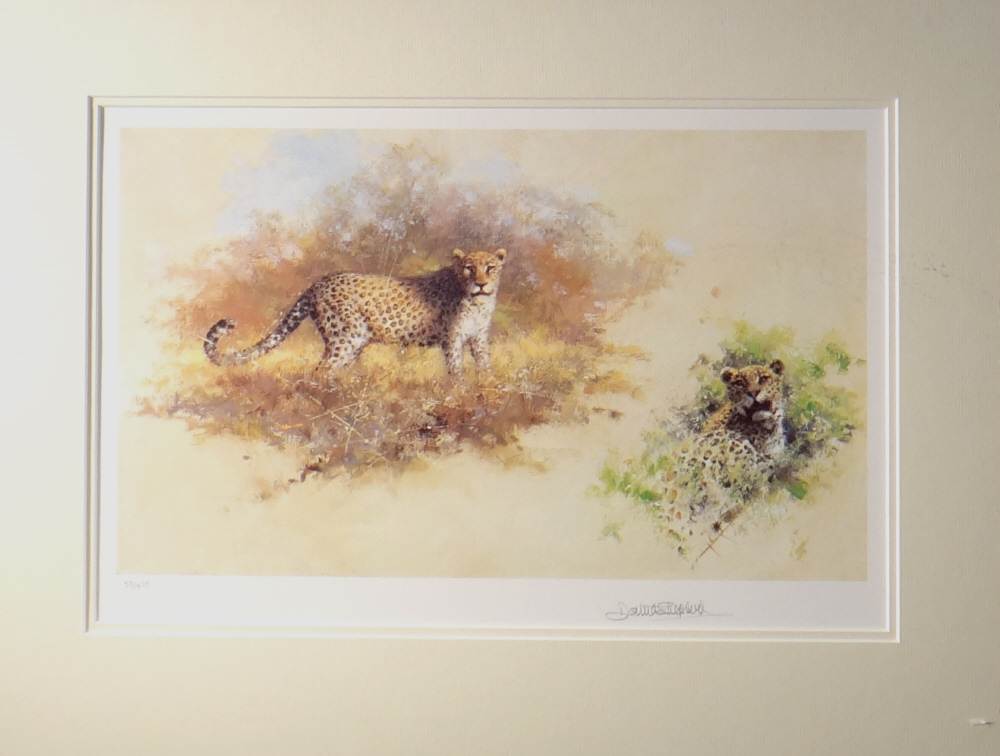 david shepherd leopards, sketch