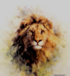 david shepherd lion cameo print