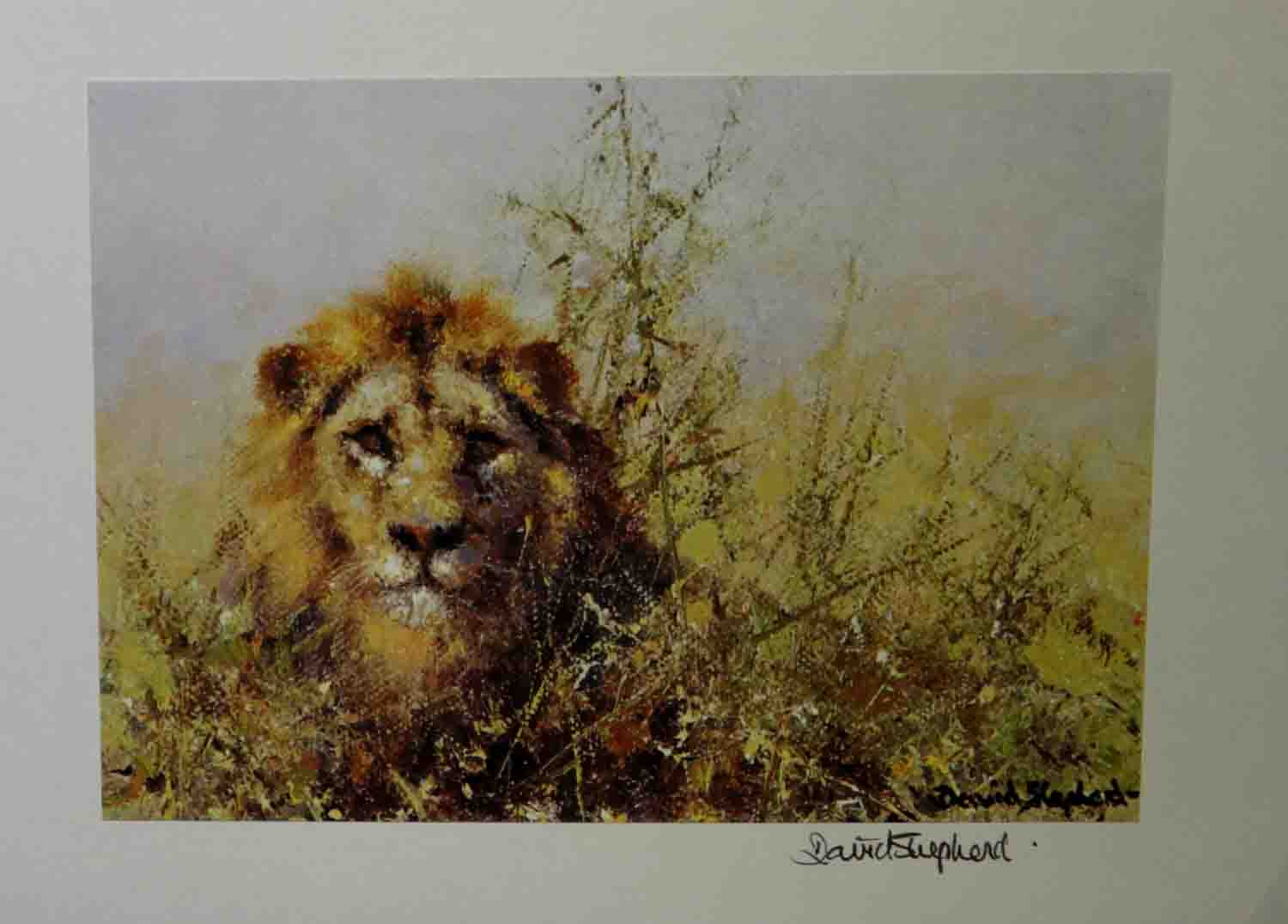 david shepherd lion-signed