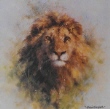 david shepherd lion cameo print