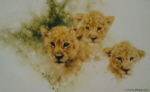david shepherd lion cubs print