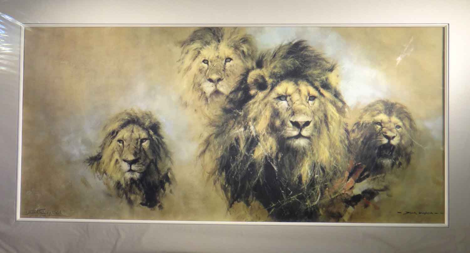 david shepherd, Lion Majesty, print