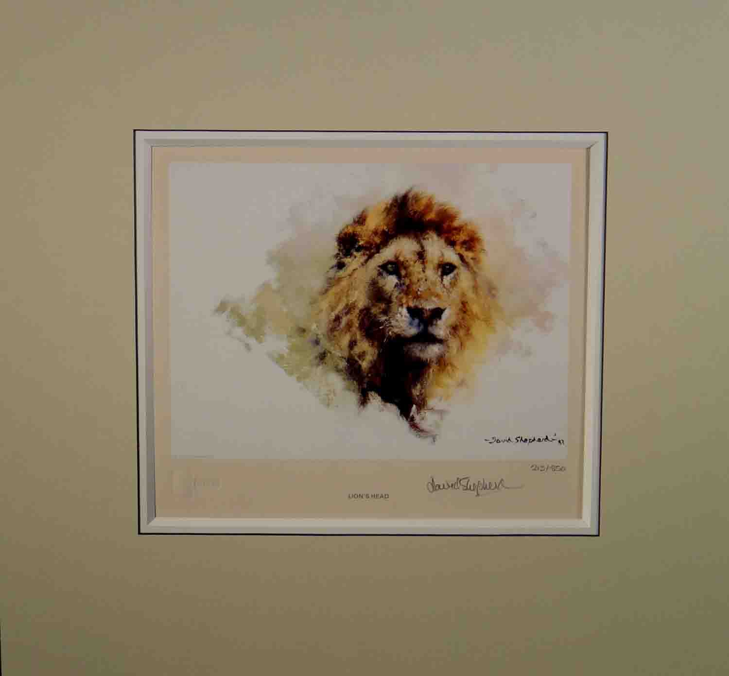 david shepherd, Lion's Head, signed, limited edition, print