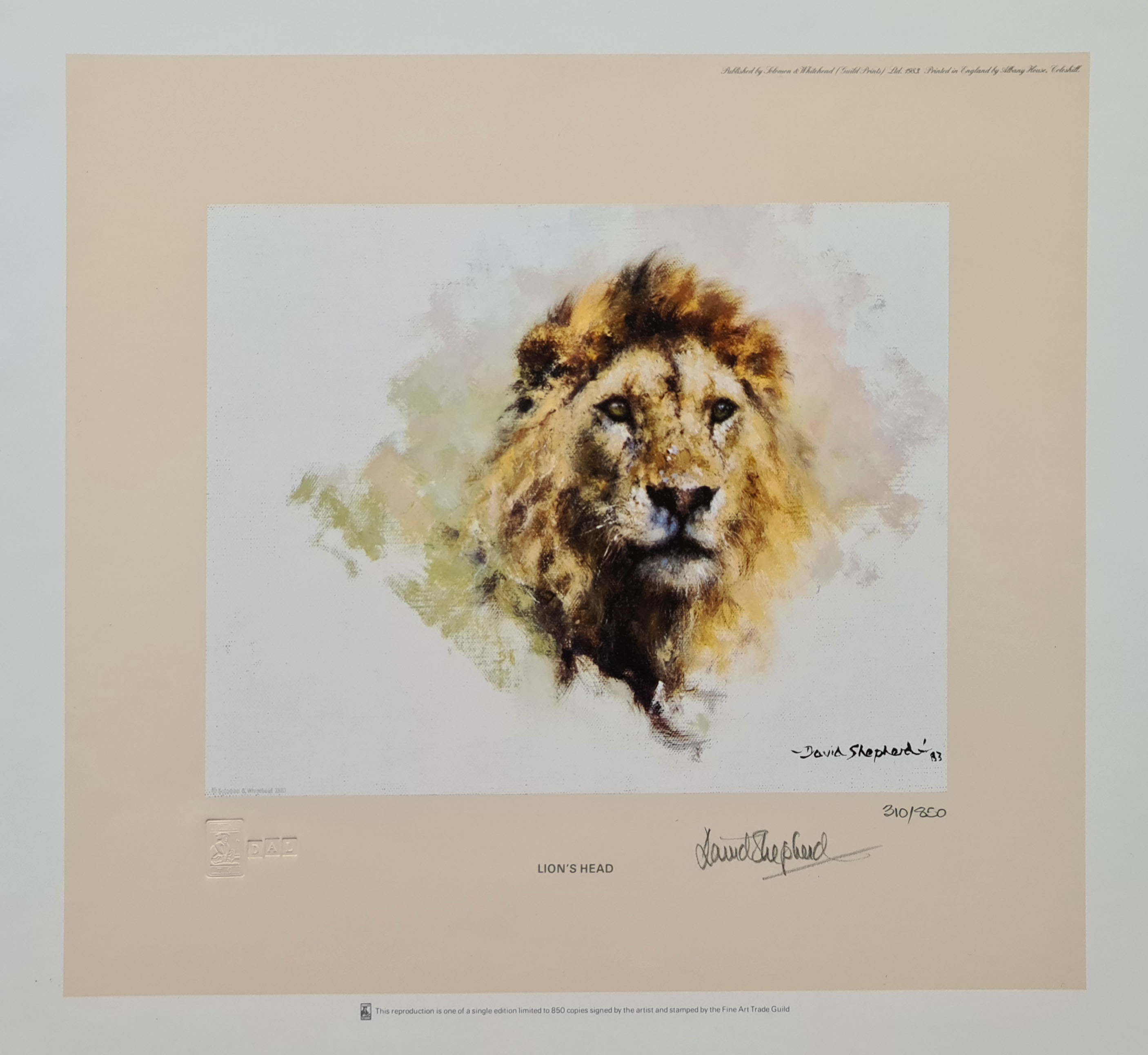 david shepherd, Lion's Head, signed, limited edition