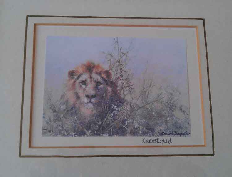david shepherd signed lion print