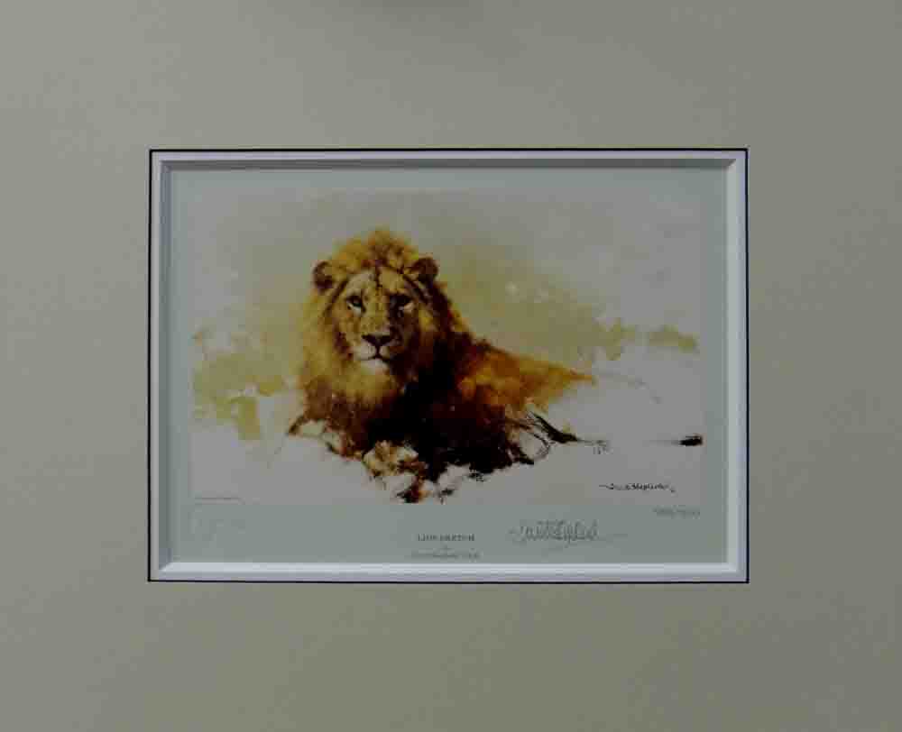 david shepherd, lion sketch 1986