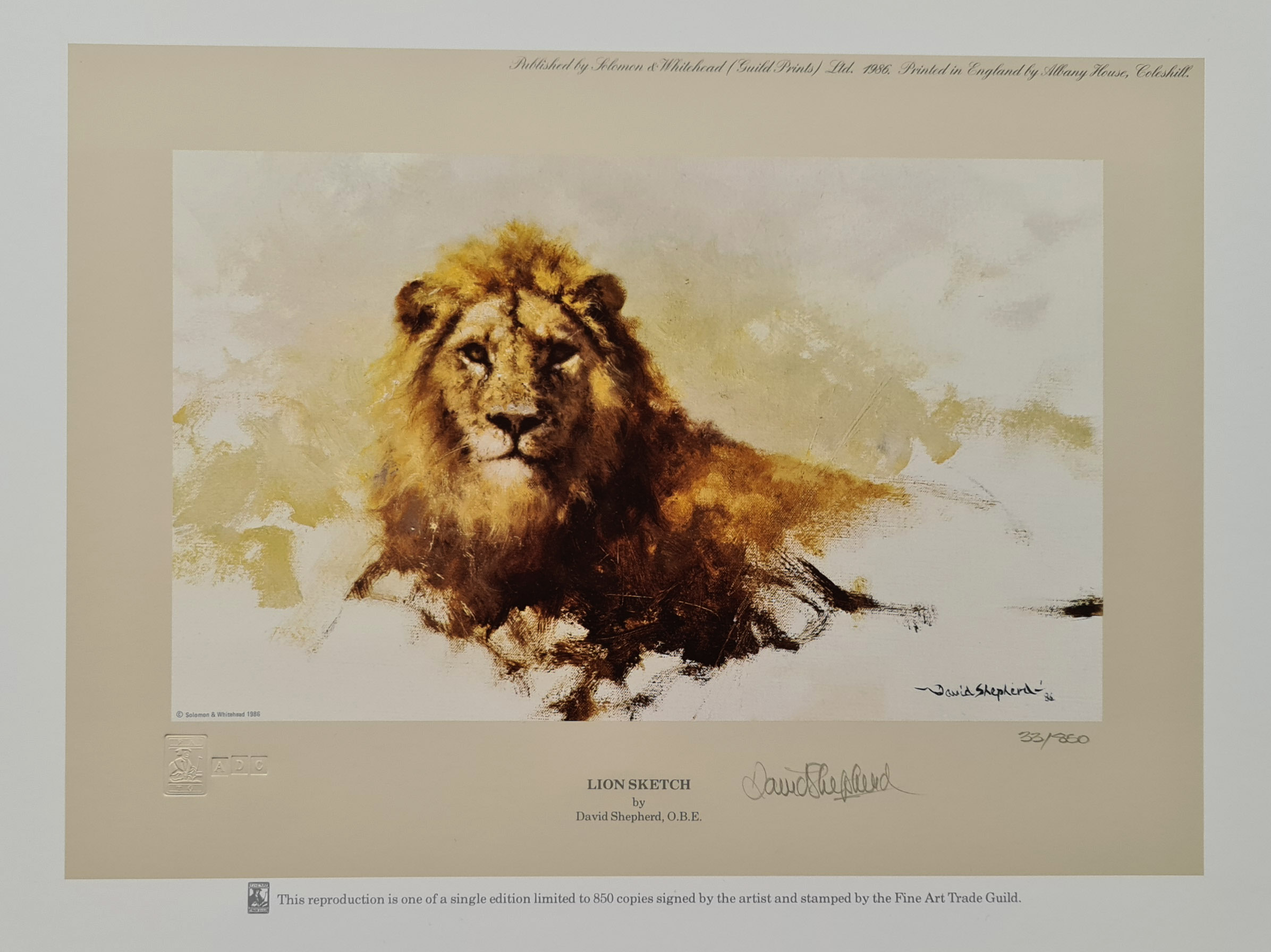 david shepherd, lion sketch