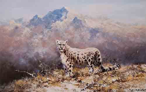 david shepherd lonely vigil snow leopard print
